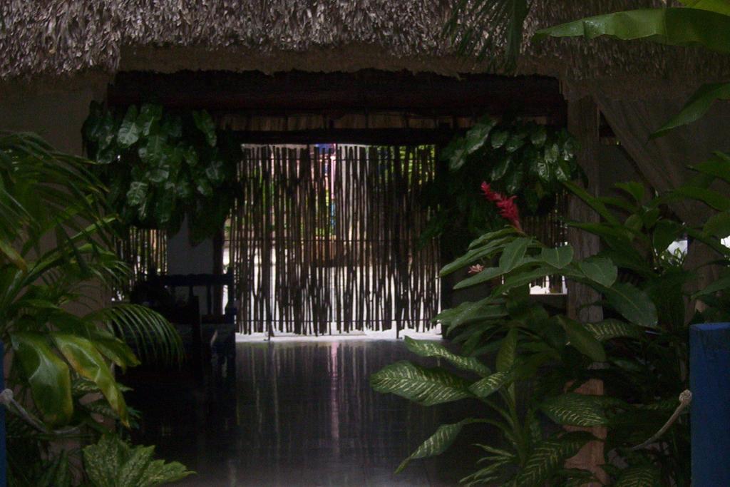 Posada El Jardin Ticul Kültér fotó