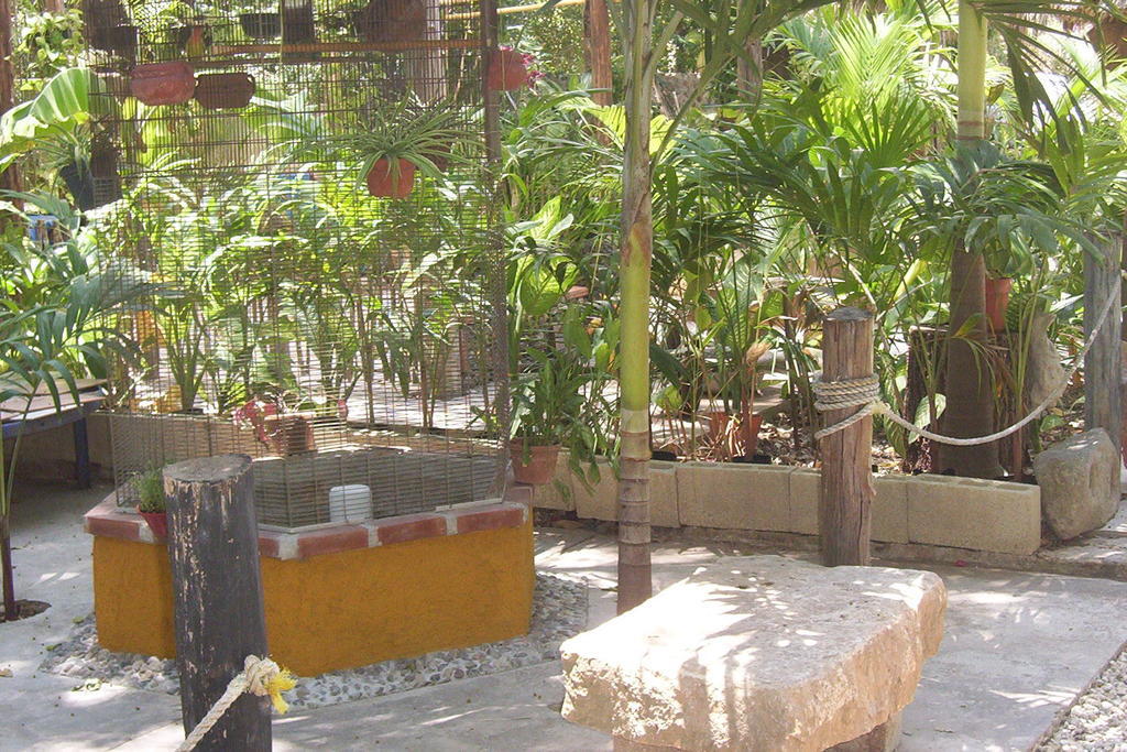 Posada El Jardin Ticul Kültér fotó