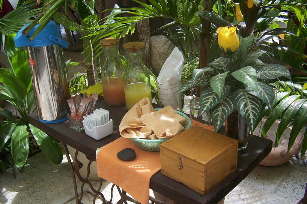 Posada El Jardin Ticul Kültér fotó
